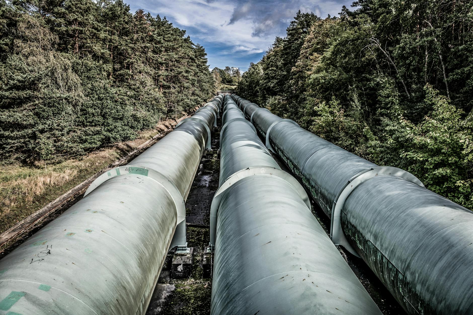 View of large industrial pipelines running through a lush forest landscape. (Photo by Wolfgang Weiser on Pexels)